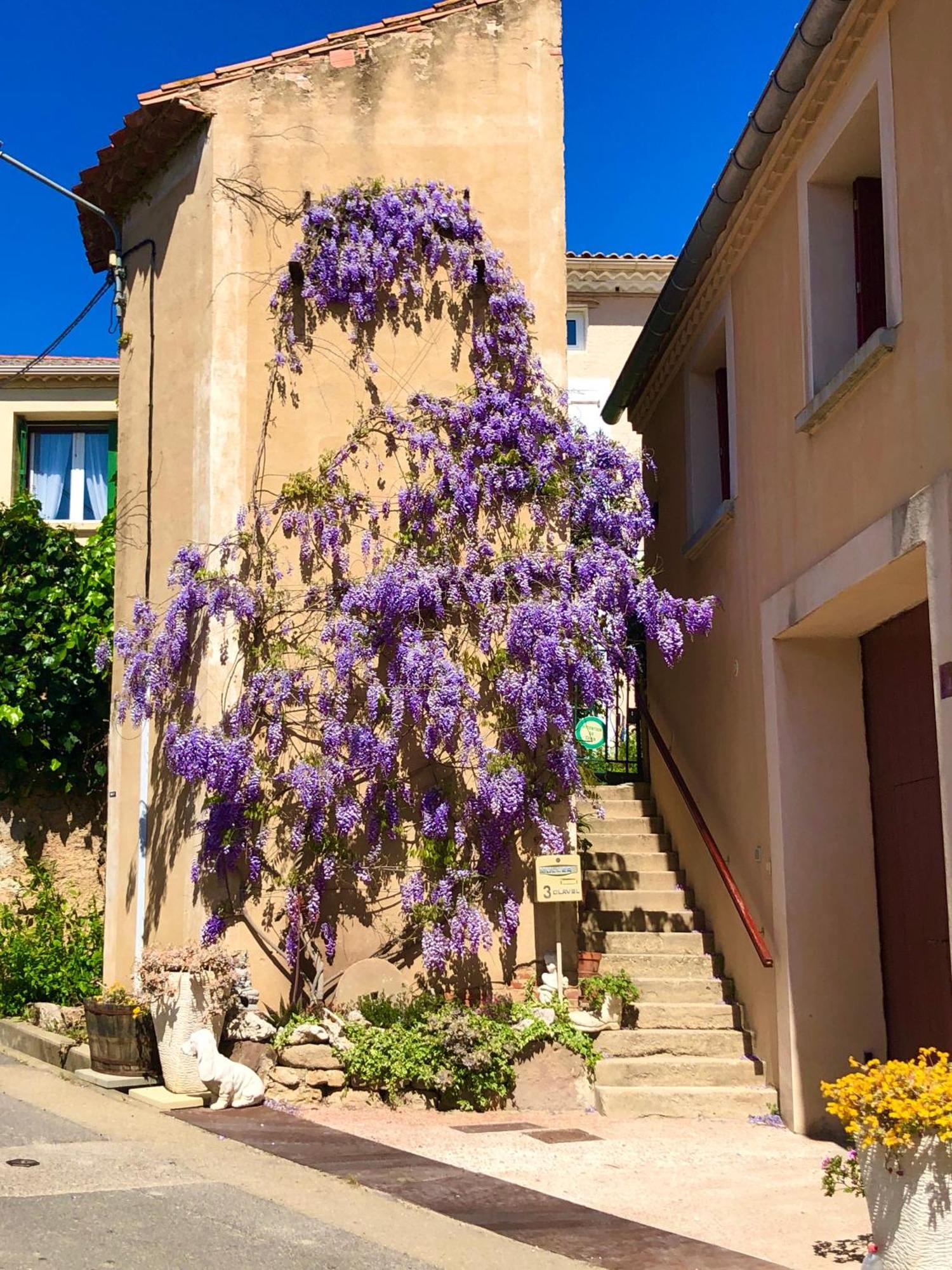 Maison Du Midi, 2 Gites De Charme Ginestas Exteriér fotografie